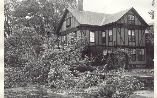 Hurricane 1954 - trees down on Main St.