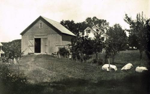 Cummings barn rear of property 