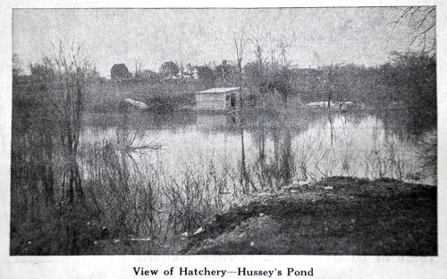 Hatchery 1916 