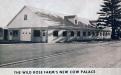 New Cow Palace - Andover St. Wild Rose Farm - S.P. White
